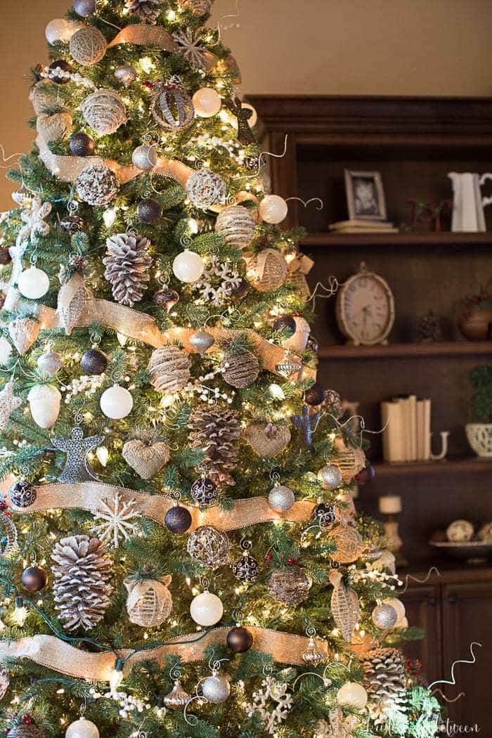 3-tips-to-make-a-tree-look-magical-w-1